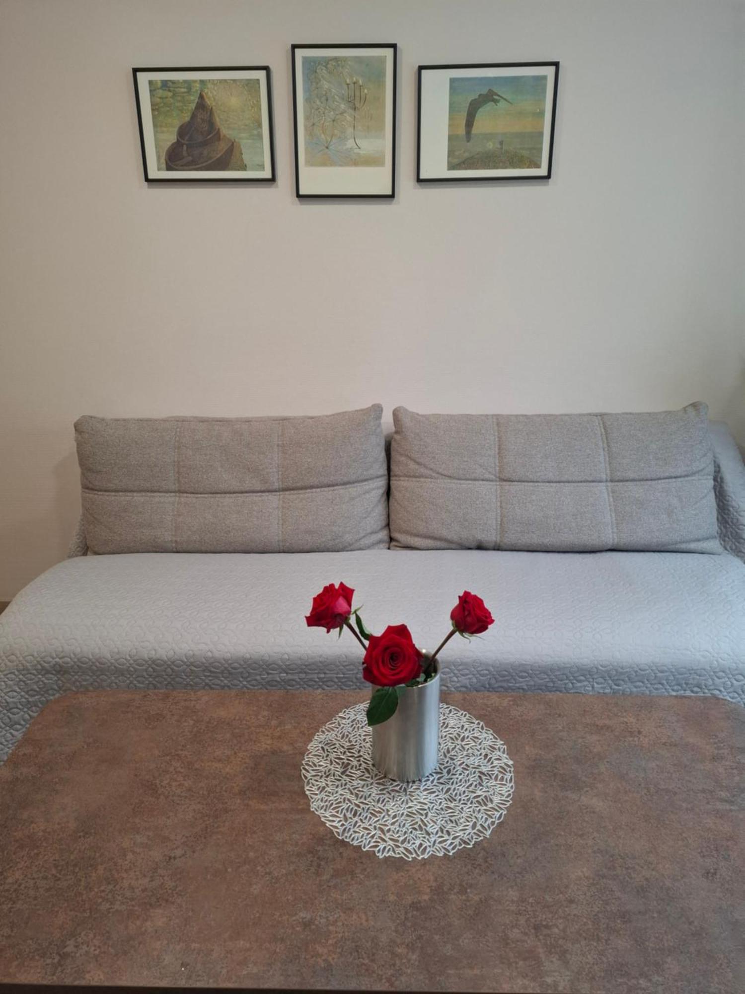 Apartamentai Auris دروسكينينكاي المظهر الخارجي الصورة